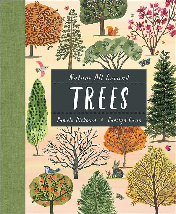 all about trees for kindergarten