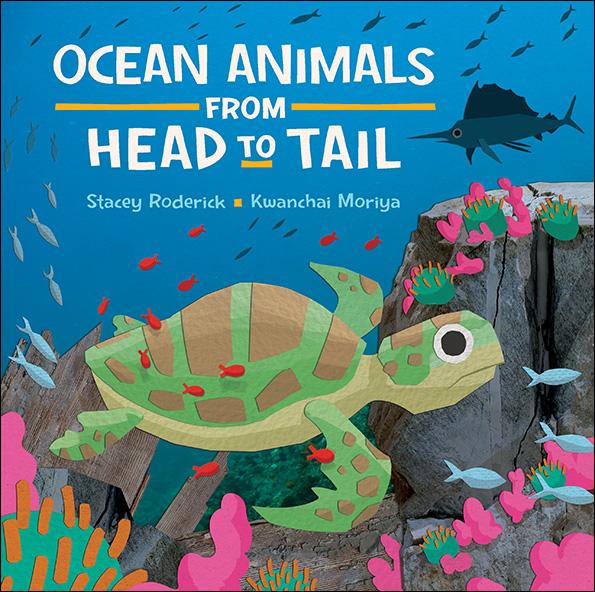 Ocean Animals from Head to Tail - Kids Can Press